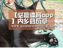 【必赢体育app】内乡县瓦亭镇中心学校力掀“教育新闻信息”投稿热潮(图1) 必赢体育官网入口