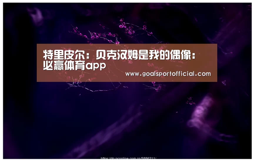 必赢体育官网入口
