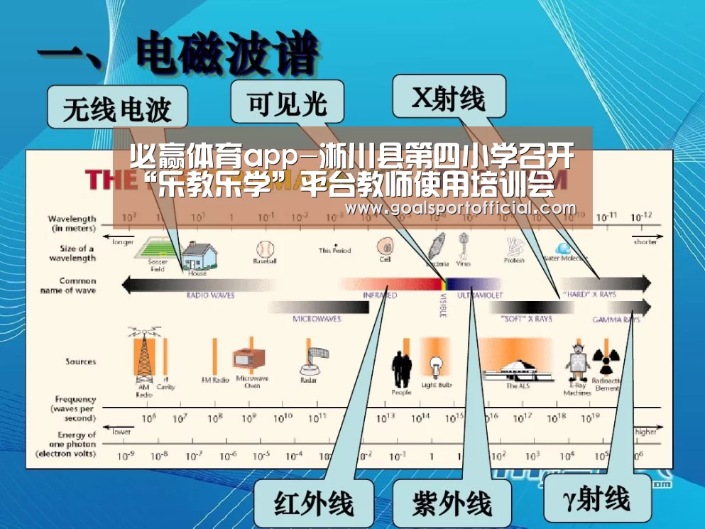 必赢体育
