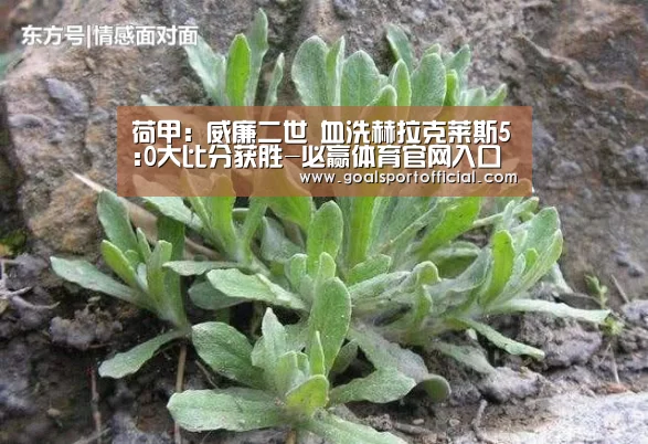 必赢体育app
